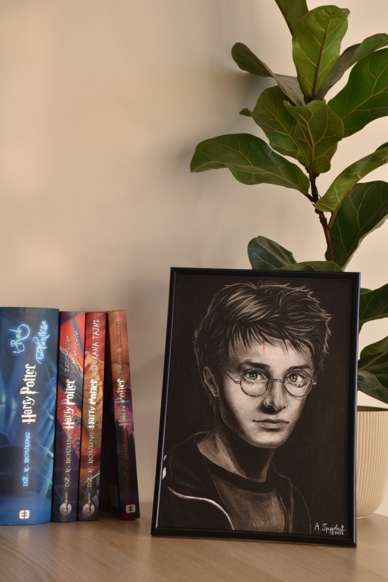 Harry Potter, Drawing Anđela Grujović
