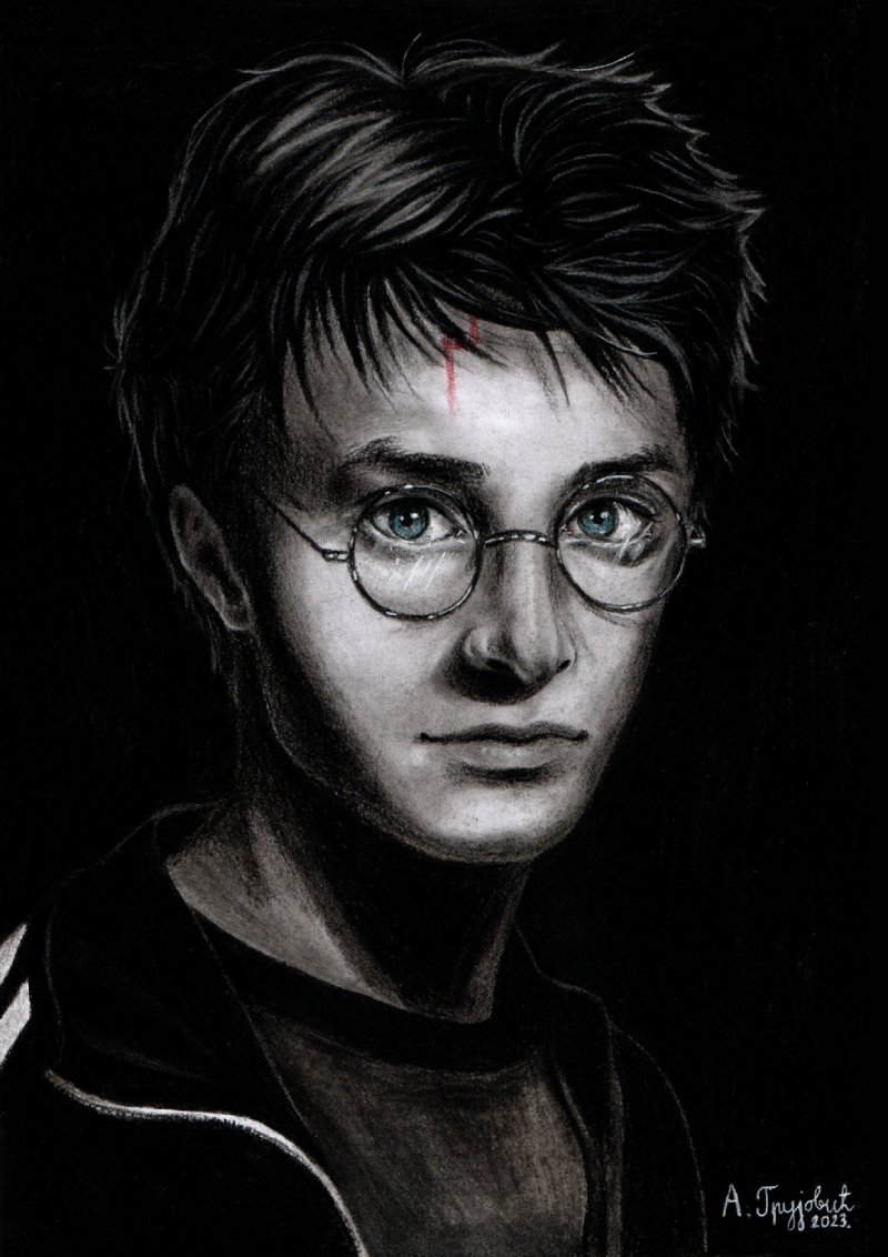 Harry Potter, Drawing Anđela Grujović