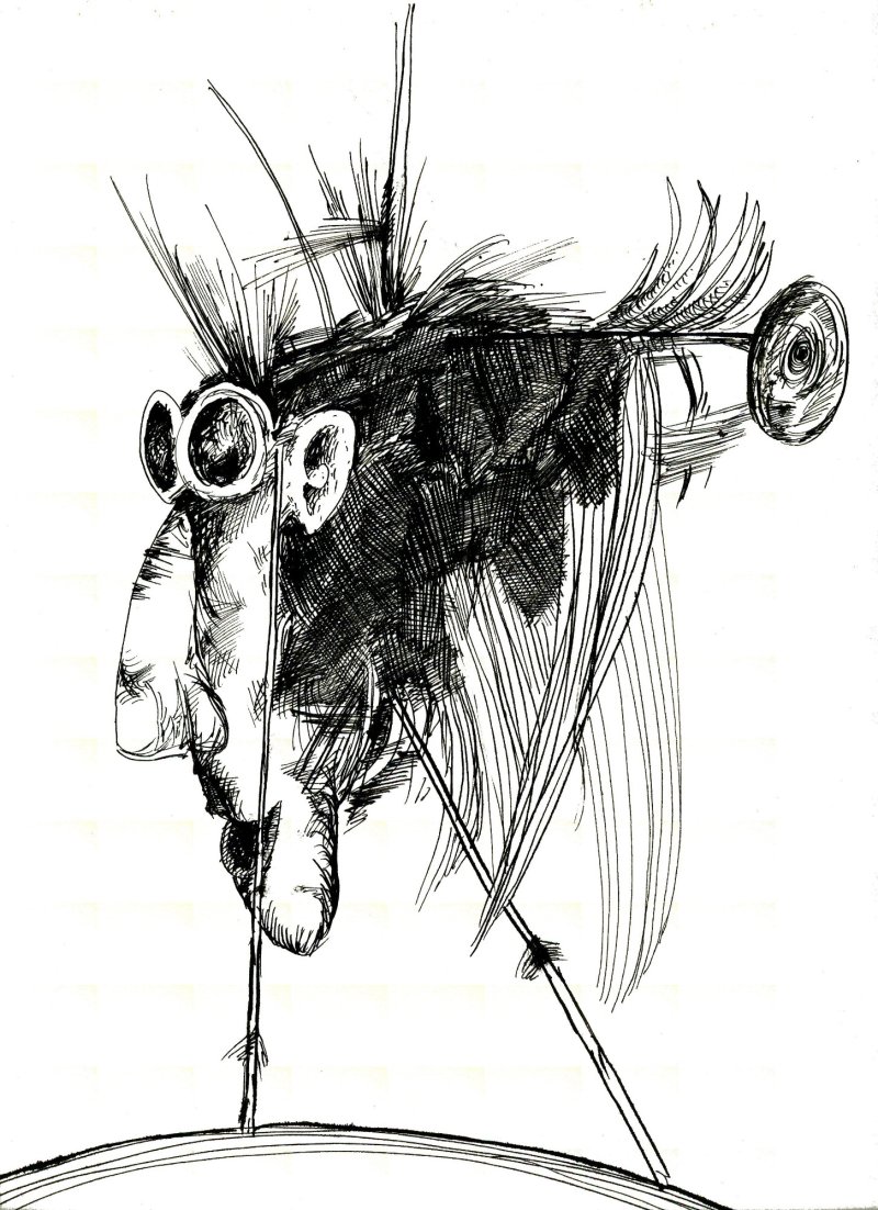 Dude, Drawing Đorđe Toljević