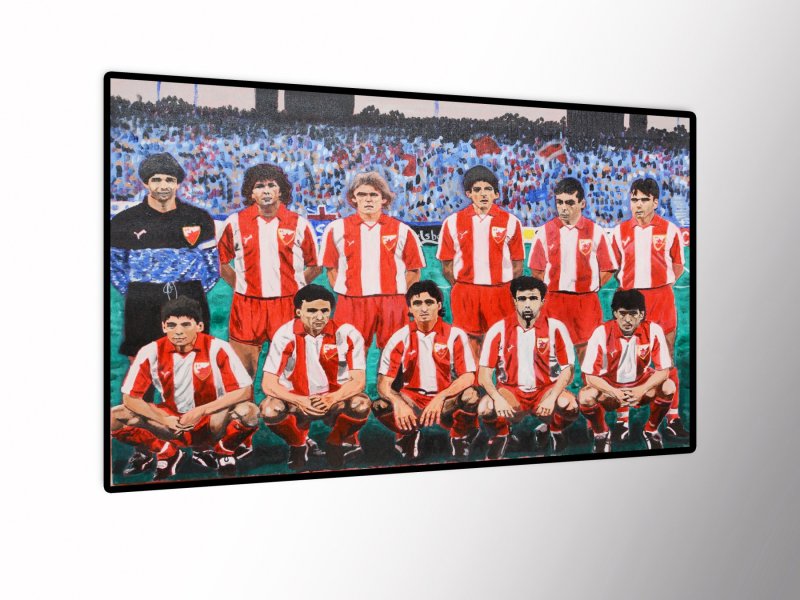 Bari 91, Slika Vladimir  Mitrovic