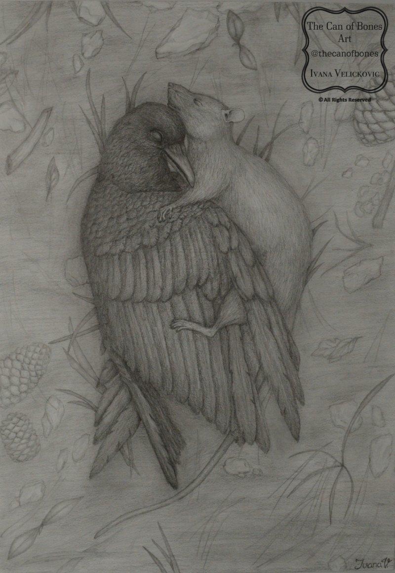 Outcasts, Crtež Ivana Veličković