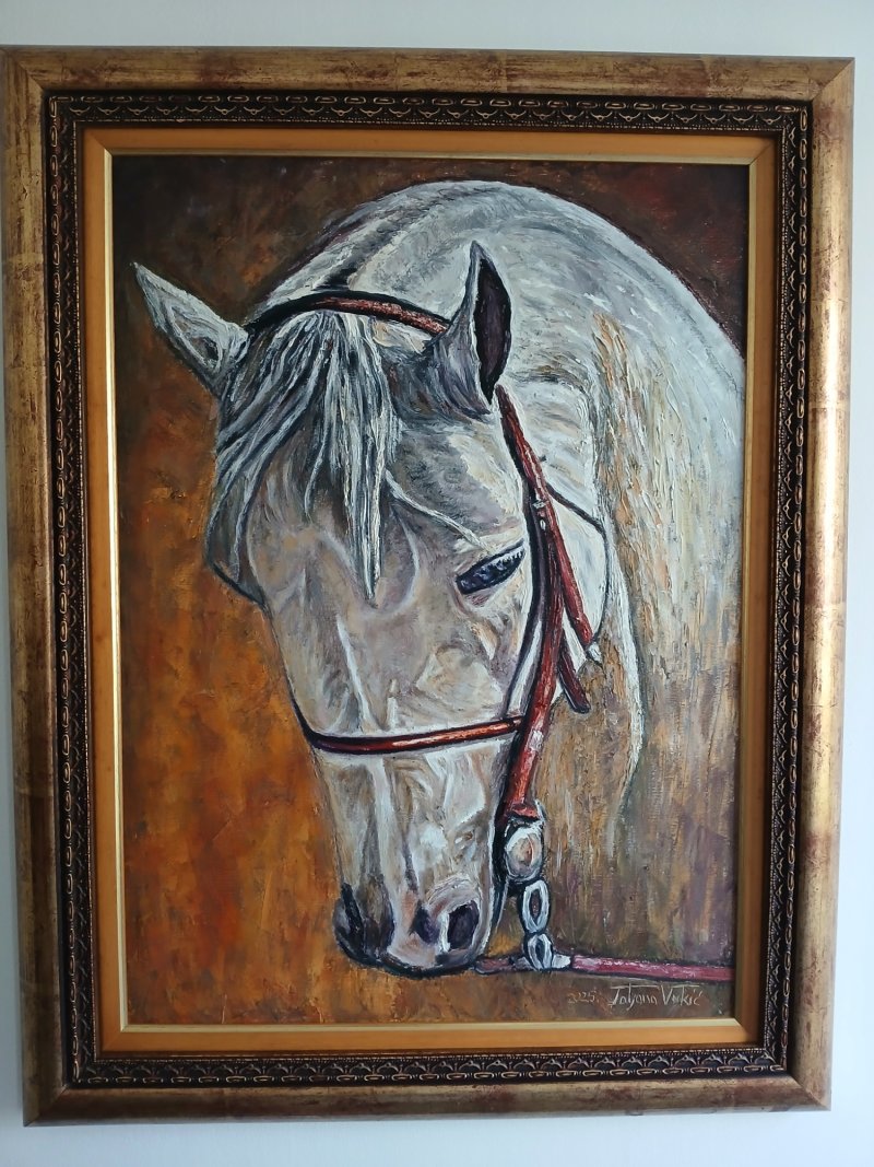 White horse, Painting Tatjana Vukić