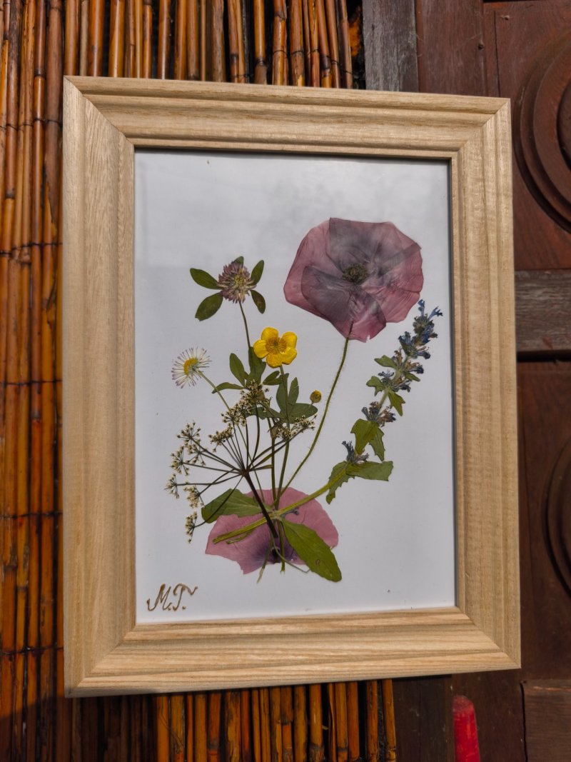 Dried wildflowers framed, Handicraft Grujić Mirjana