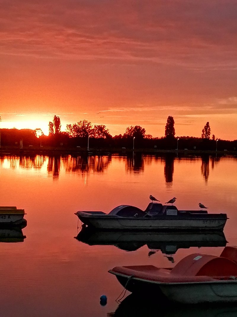 Izlazak sunca nad jezerom Palić