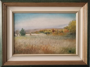 In Room: Kosmaj mountains