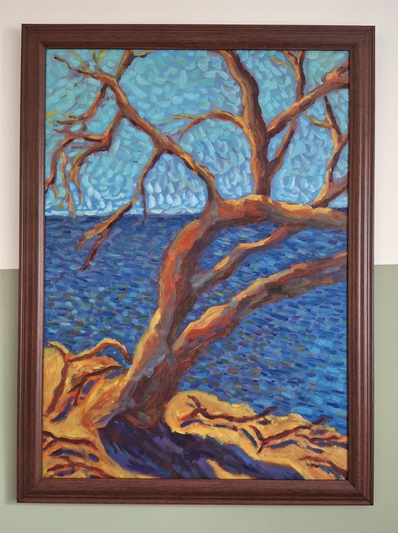 A tree on the open sea