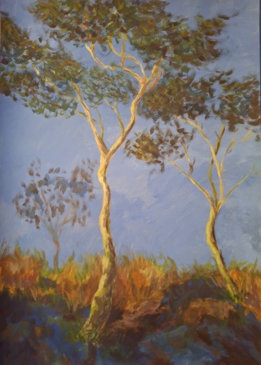 Eucalyptus