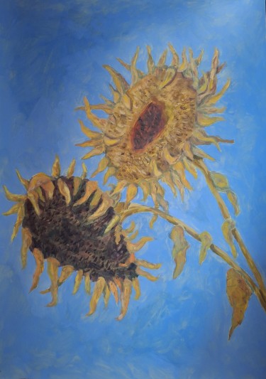 Suncokreti