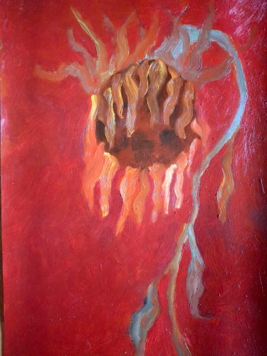 Wilted sunflower