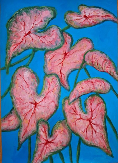 In Room: Caladium bicolor