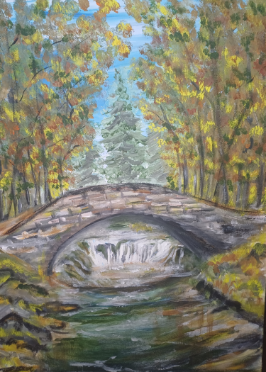 Bridge in the forest
