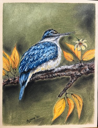 Blue bird