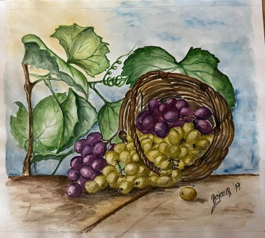 Grapevine