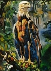 Kralj visine
