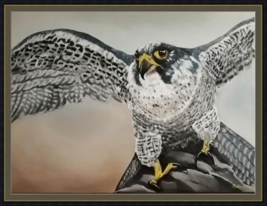 Falcon