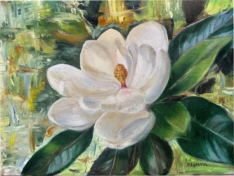 White magnolia, Painting Polina Egorova