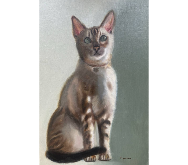 Bengal cat of marble color