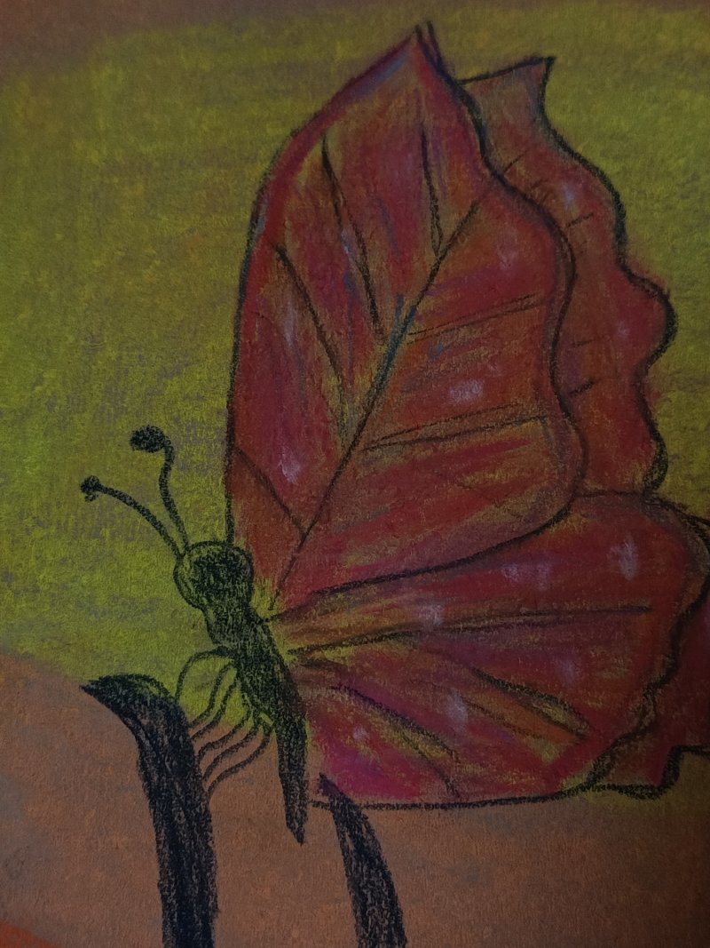 Butterfly, Painting Danijel  Vasic