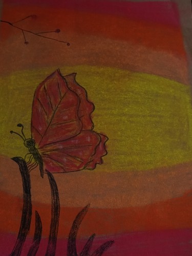 In Room: Butterfly