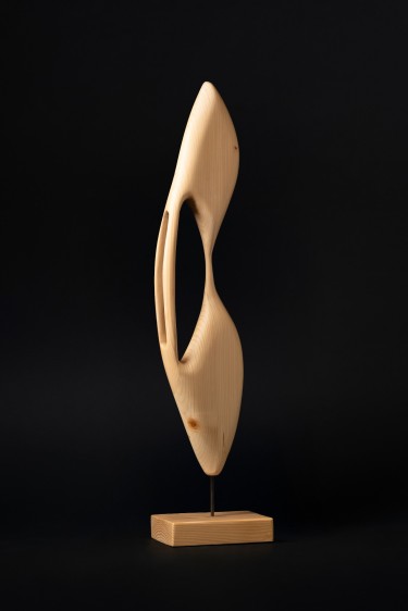 albatros , autor slobodan gavrilovic