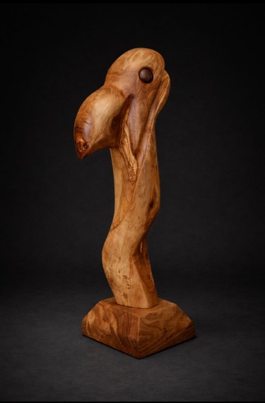 vulture