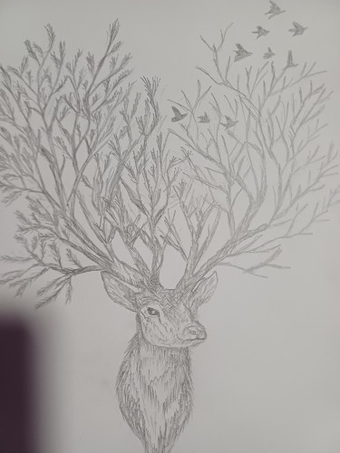 Roots and wings, Drawing Jelena Pavlović