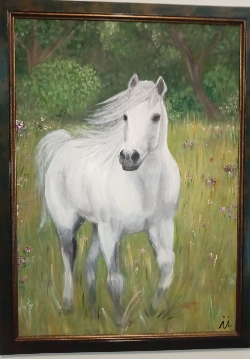 Belisimo, Slika Ivana ivic