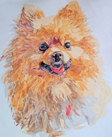Pomeranian