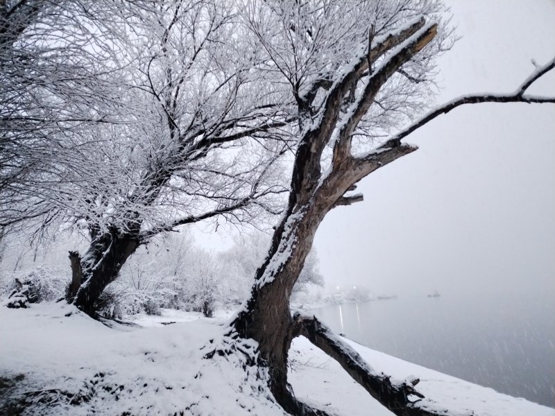Priroda, Photography tibor sukup