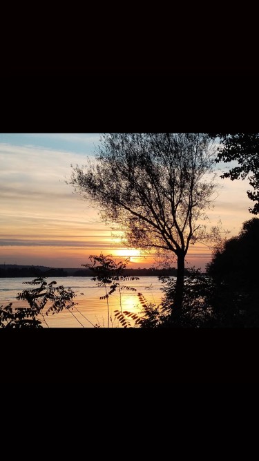 In Room: Photo Danube river