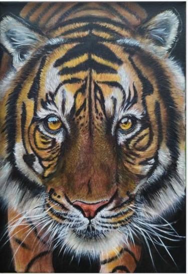 Tigar , autor Jasmina Mincic