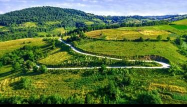 Live, Painting Umetnik sa dusom