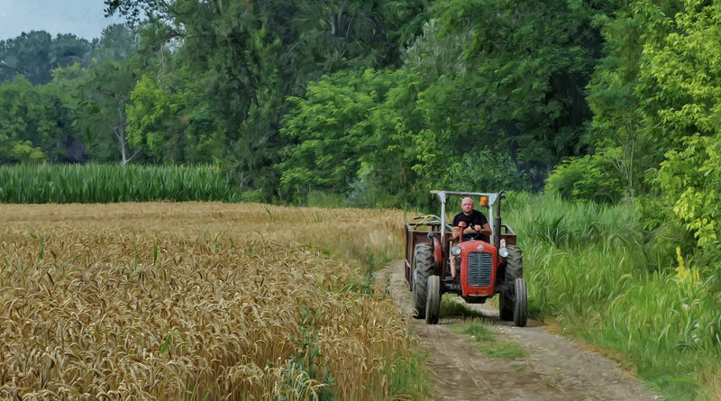 Seoski pejzaž, sa traktorom iz sedamdesetih godina prošlog veka