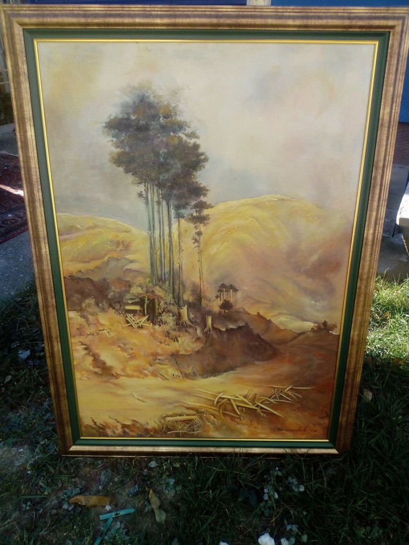 Na strmom putu, Slika Velickovic Snezana