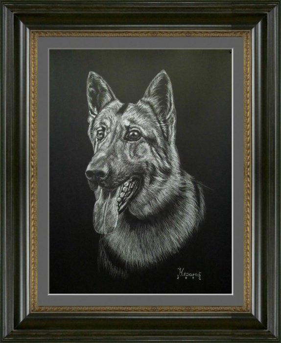German shepherd, Painting Mesaroš Joži
