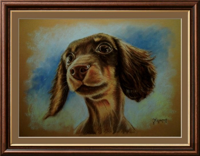 Dachshund puppy, Painting Mesaroš Joži