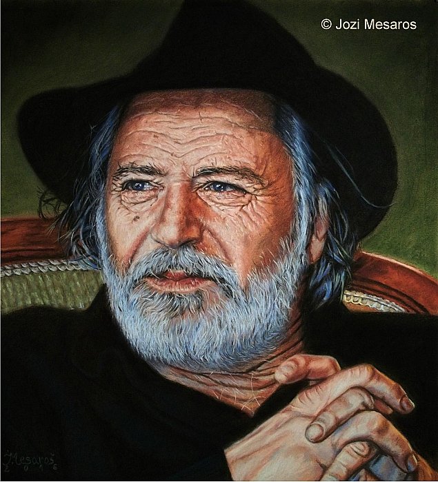 Rade Serbedzija, Painting Mesaroš Joži
