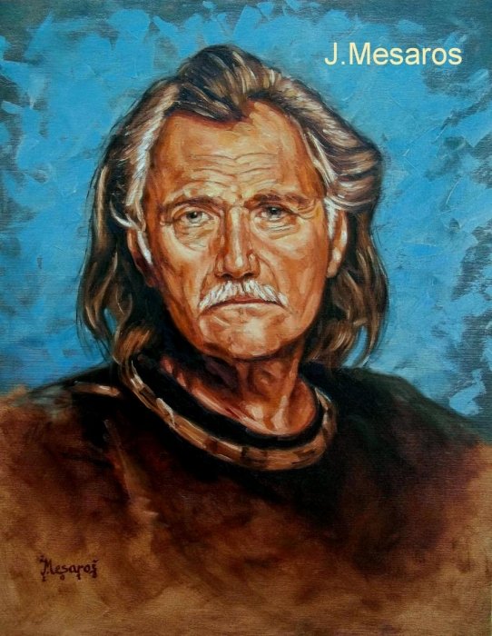 Portret Rade Serbedzija, Slika Mesaroš Joži