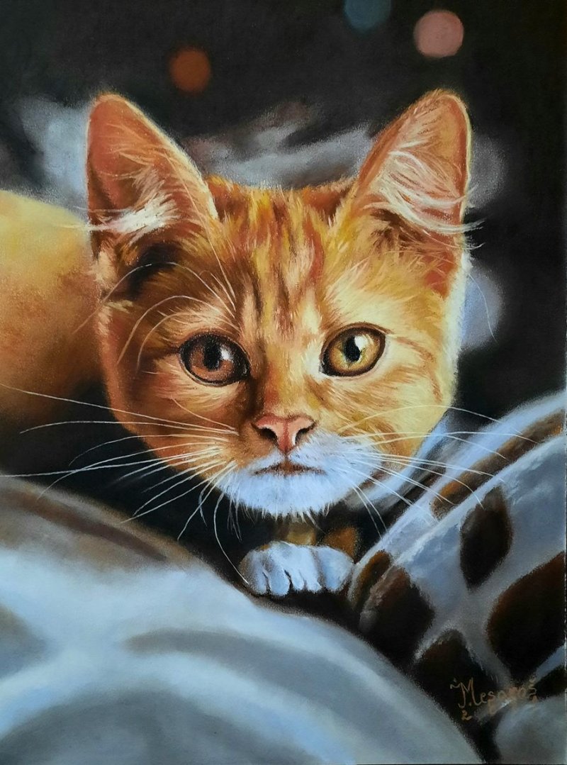 Cat, Painting Mesaroš Joži